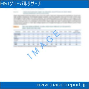 市場と産業調査レポートのイメージ
